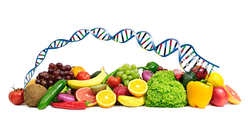 nutrizione test dna bologna